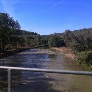 Garanzie per qualità dell'acqua fiume Basento, interrogazione Consiglieri regionali Chiorazzo e Vizziello (Basilicata Casa Comune)