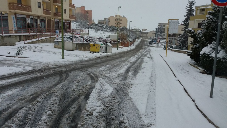 neve via collodi