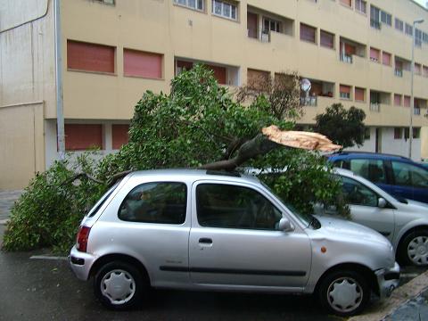 lalbero_caduto_sopra_una_vettura_in_via_dante.jpg