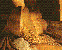 pane-di-matera.gif